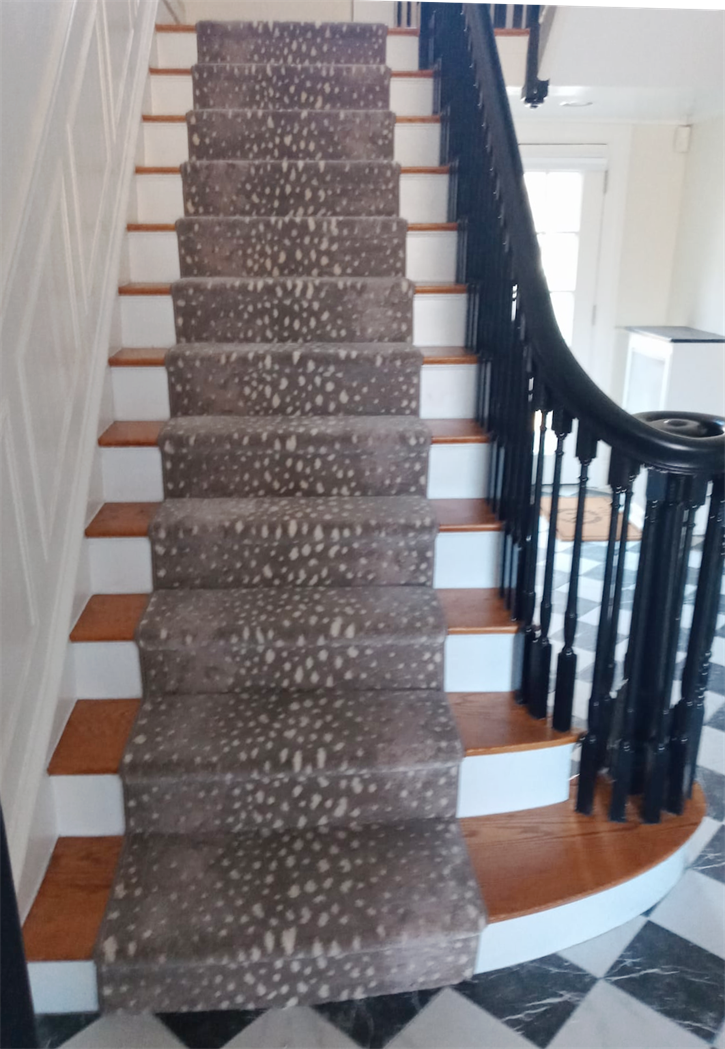 Exotic Animal Print Runners & Rugs: Showcase Your Wild Side! Discover the latest animal print designs to elevate your decor. We offer a wide selection of animal print runners and rugs, perfect for adding a bold statement to any room. Keywords: Animal print rugs, animal print runners, exotic rugs, animal print decor, wild animal rugs, statement rugs, patterned runners.